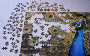 second-peacock-puzzle